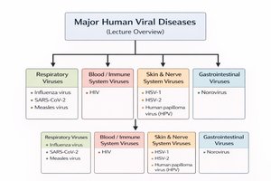 Respiratory viruses overview