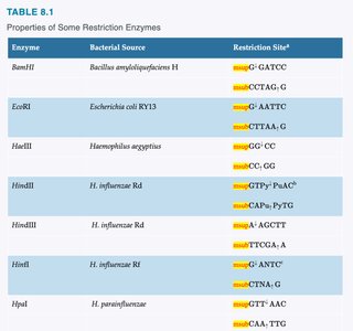 Table of properties of some restriction enzymes