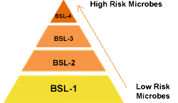 Biosafety levels pyramid