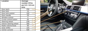 Microbial CFUs in car interior