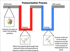 Pasteurization process diagram