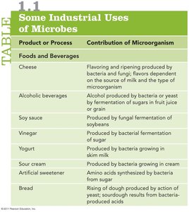 Table of industrial uses of microbes
