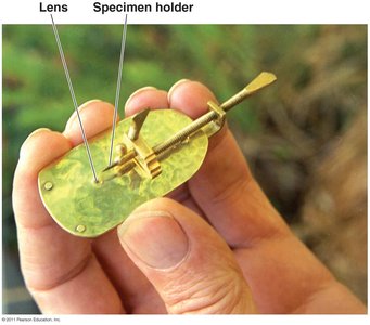 Reproduction of Leeuwenhoek's microscope