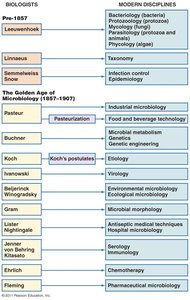 Chart of microbiology disciplines and their founders