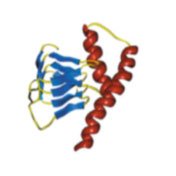 Prion protein structure