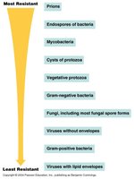 Microbial resistance hierarchy