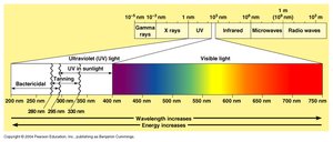 Electromagnetic spectrum and UV radiation