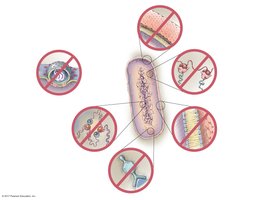 Diagram of mechanisms of antimicrobial drug action