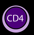 CD4+ T cell polarization and cytokines