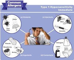 Common allergens and their portals of entry: inhalants, ingestants, injectants, contactants