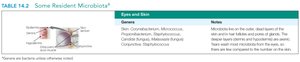 Resident microbiota of the eyes and skin