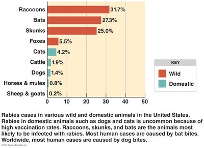 Bar graph of rabies cases in wild and domestic animals in the U.S.