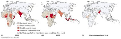 Global map of polio endemic cases over time