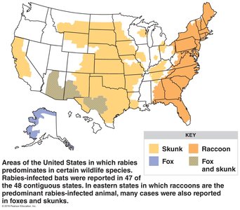 Map of rabies distribution in U.S. wildlife
