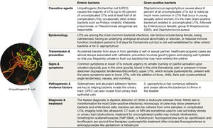 Table comparing enteric and Gram-positive bacteria in UTIs