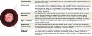 Table summarizing HPV features