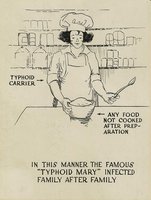 Illustration of Typhoid Mary as a human carrier of Salmonella typhi