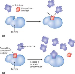 Competitive inhibition of enzyme activity