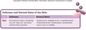 Table of skin defenses and normal biota