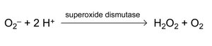 Superoxide dismutase reaction