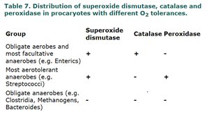 Table: Distribution of oxygen detoxifying enzymes