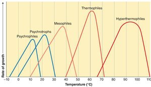 Growth rate of different microbial groups by temperature