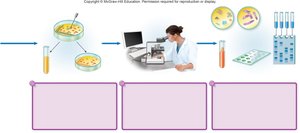 The Five I's of culturing microorganisms