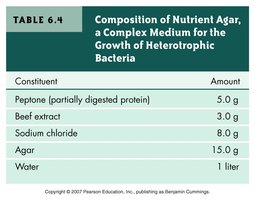 Agar plate