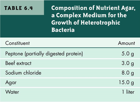 Table: Composition of nutrient agar