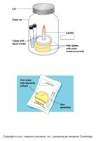 Candle jar and CO2 generator