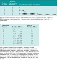 Table and graph showing exponential increase in bacterial numbers