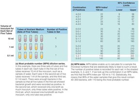 Most probable number (MPN) method for estimating bacterial numbers