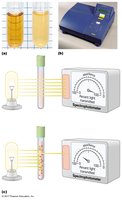Turbidity measurement using a spectrophotometer
