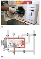 Autoclave used for sterilization by moist heat