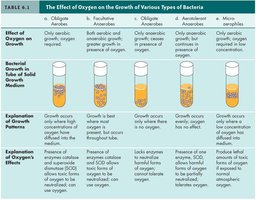 Table summarizing the effect of oxygen on the growth of various types of bacteria