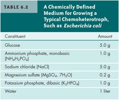 Table: Chemically defined medium for Escherichia coli