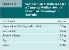 Table: Composition of nutrient agar, a complex medium