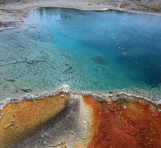 Hot spring habitat of Thermus aquaticus