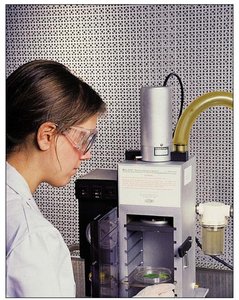 Algal protoplasts fusing