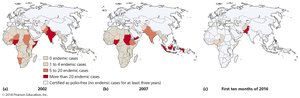 Global distribution of polio cases over time