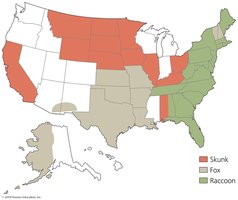 Map of rabies reservoirs in the United States