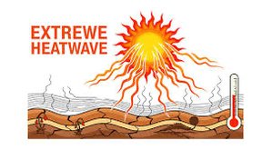 Physical methods of sterilization