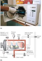 Temperature and pressure relationship in autoclaving