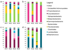Skin microbiome composition in different body sites