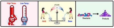 Environmental factors affecting enzyme activity