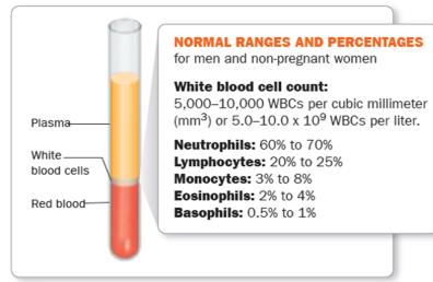 Normal ranges and percentages of white blood cells