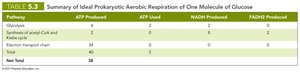 Table summarizing ATP and electron carrier yields in prokaryotic aerobic respiration