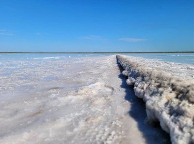 Salt flats, habitat for halophiles