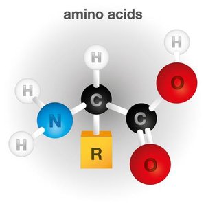 Vitamins as organic growth factors