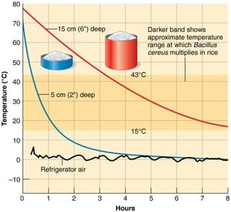 Cooling rate of food and Bacillus cereus growth